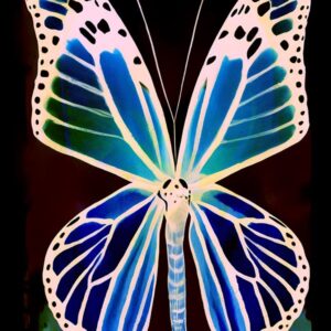 66_Abraham_Hicks_Secret_series_butterfly
